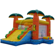 inflatable bouncer